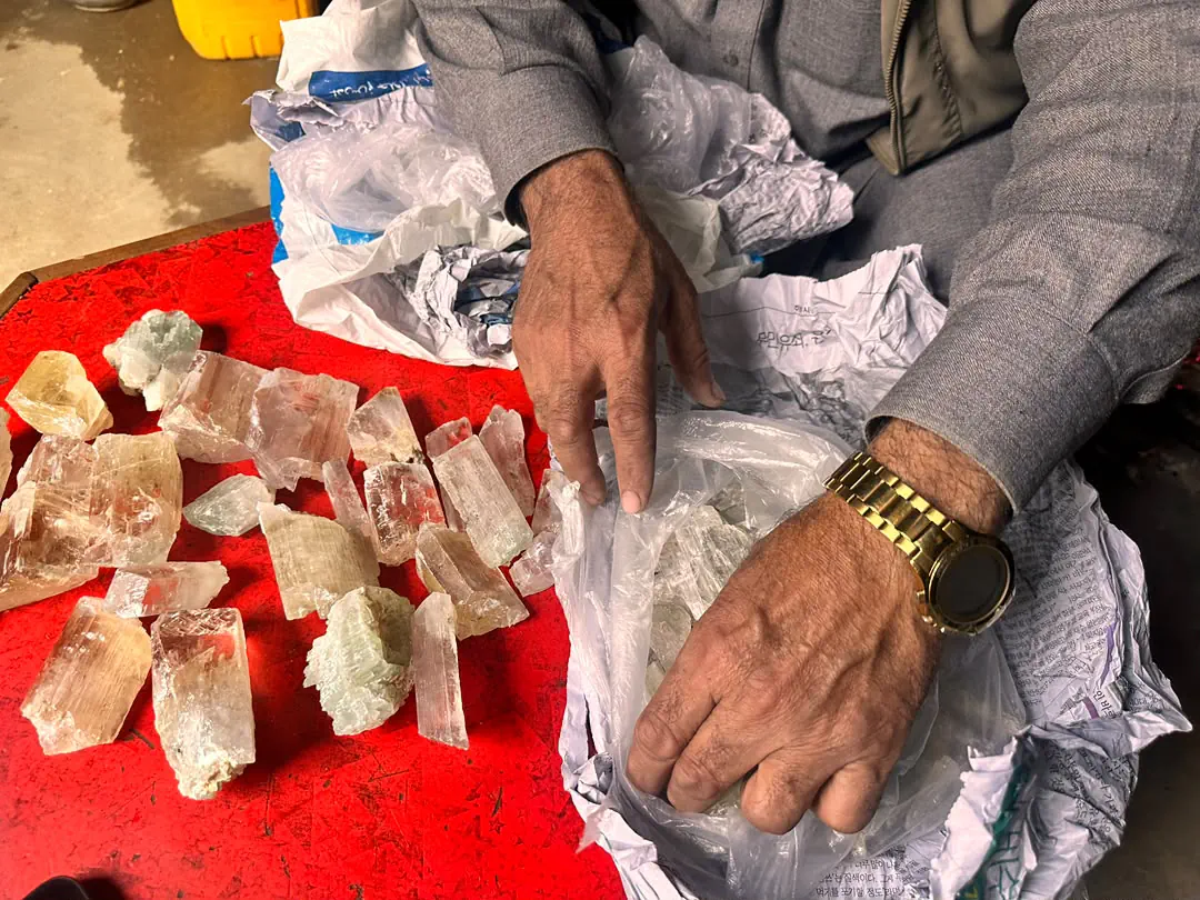 A supplier's hands unwrapping a parcel of rough spodumene from the Mawi mine in Nuristan, pale pink kunzite, colourless, yellow and pale green crystals laid out on a red table