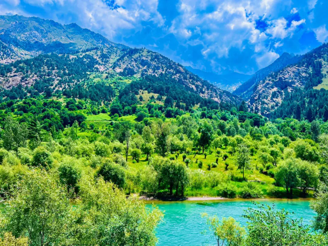 A turquoise stretch of the Parun river below orchards, upstream of Wama, forested mountains beyond