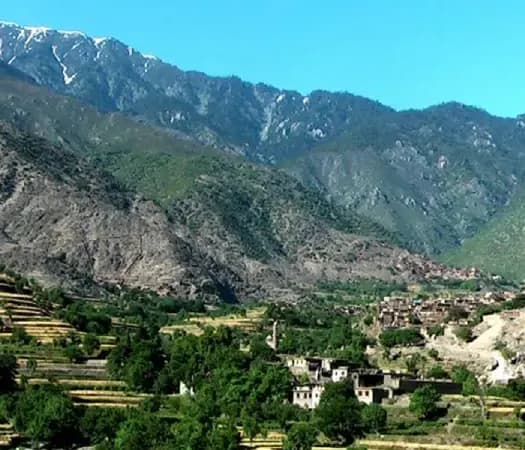 Terraced fields below a hillside village and forested ridge