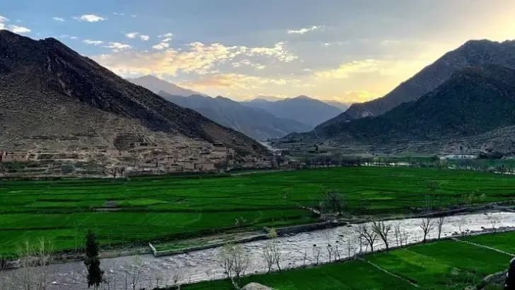 Bright green fields along a river at dusk in Kunar