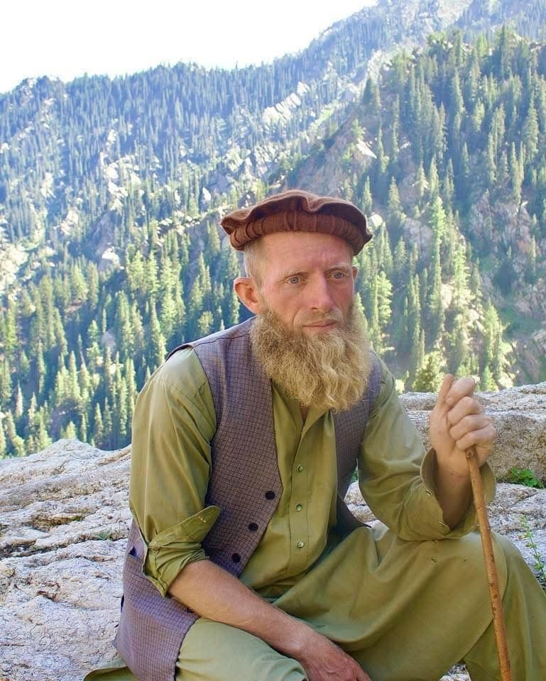 An elder with a staff seated in front of pine-forested slopes